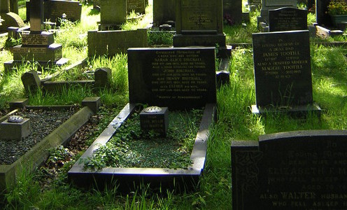 plants overgrown on gravestone